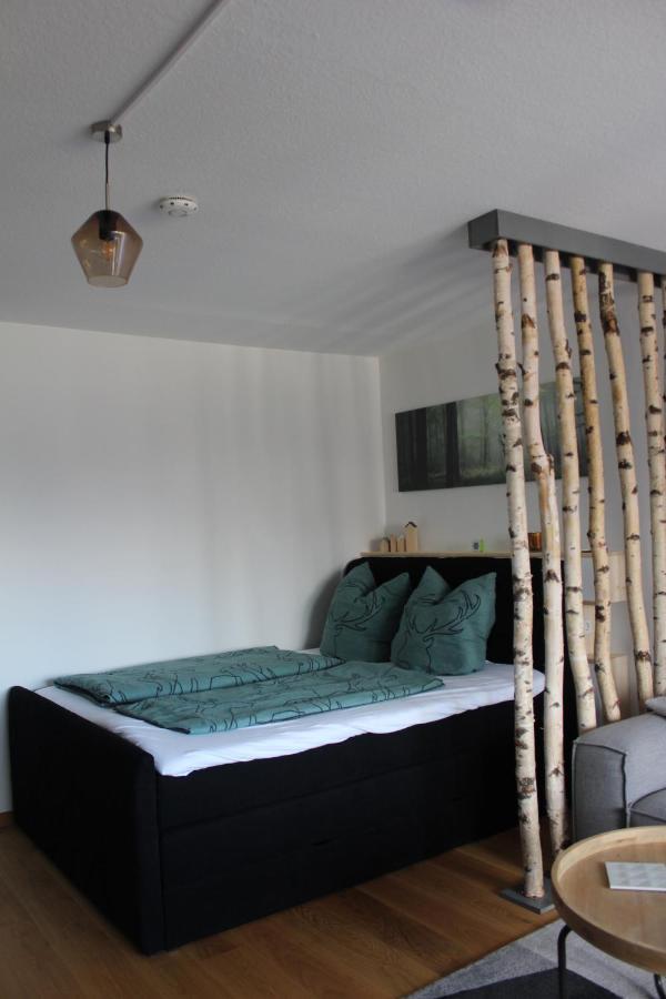 1-Zimmer-Apartment Mit Grossem Balkon Schönwald Ngoại thất bức ảnh